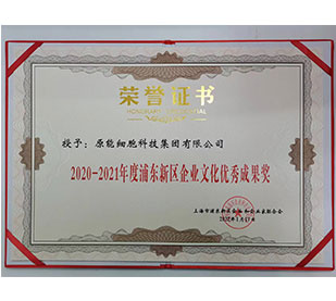 2020-2021niandupudongxinquqiyewenhuayouxiuchengguojiang.1-814.jpg