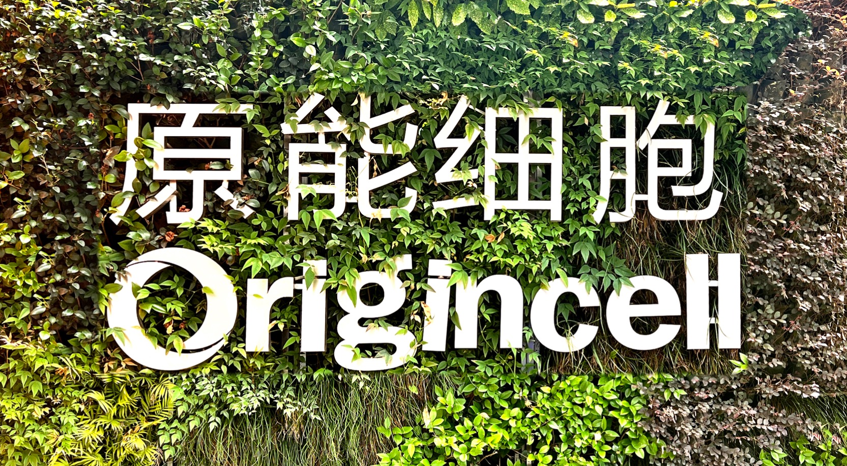 0824841f-beb5-43bb-8e4a-cd6b3ed85f5b.jpg